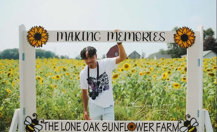 Photo of Sunflower  at The Lone Oak Sunflower Farm and Corn Maze New Boston, Michigan - 3