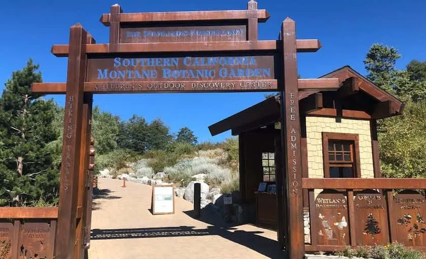 representative photo for Sunflower  Farms in Yucaipa, California