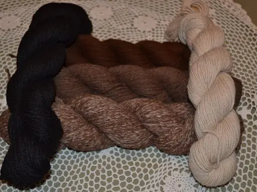 representative photo for Petting Zoos Farms in Chestertown, Maryland