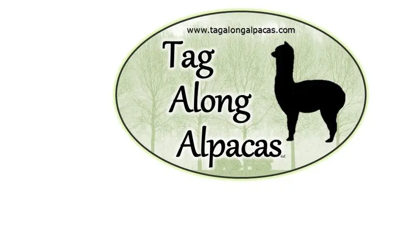 Photo of Tag Along Alpaca Farm Chestertown, Maryland - 3