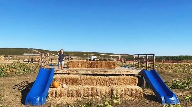 Photo of  Three Nunns Farm Brentwood, California - 3