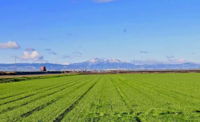 Photo of  Victoria Island Farm Stockton, California