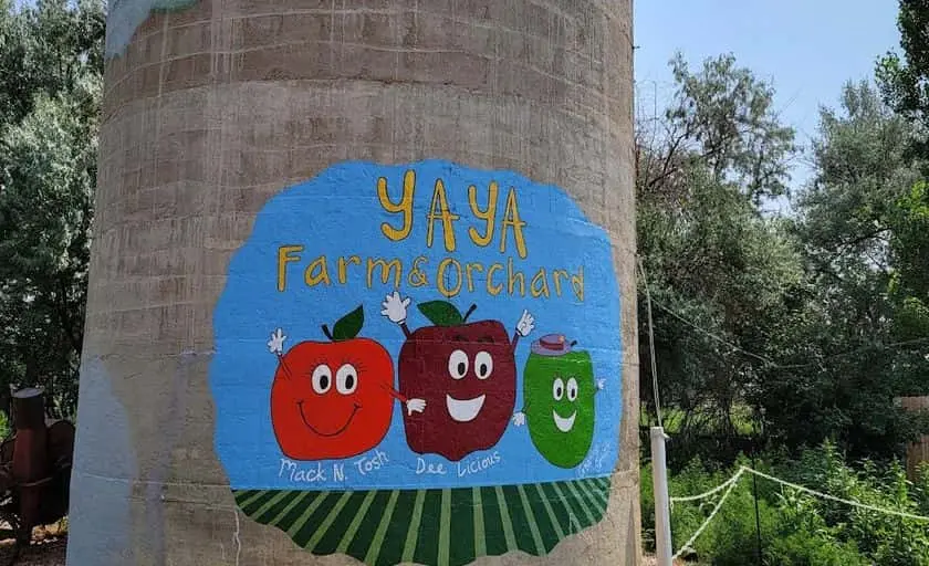Photo of  Ya Ya Farm and Orchard Longmont, Colorado - 2